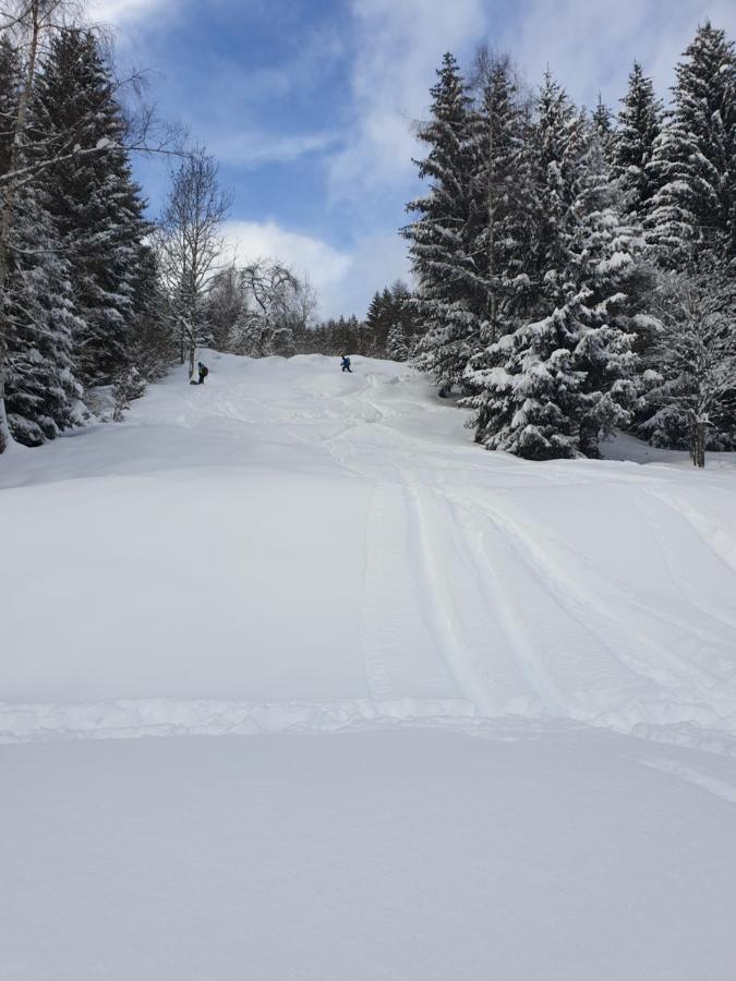 Chalet Chapeau Rar Castel Condino Εξωτερικό φωτογραφία