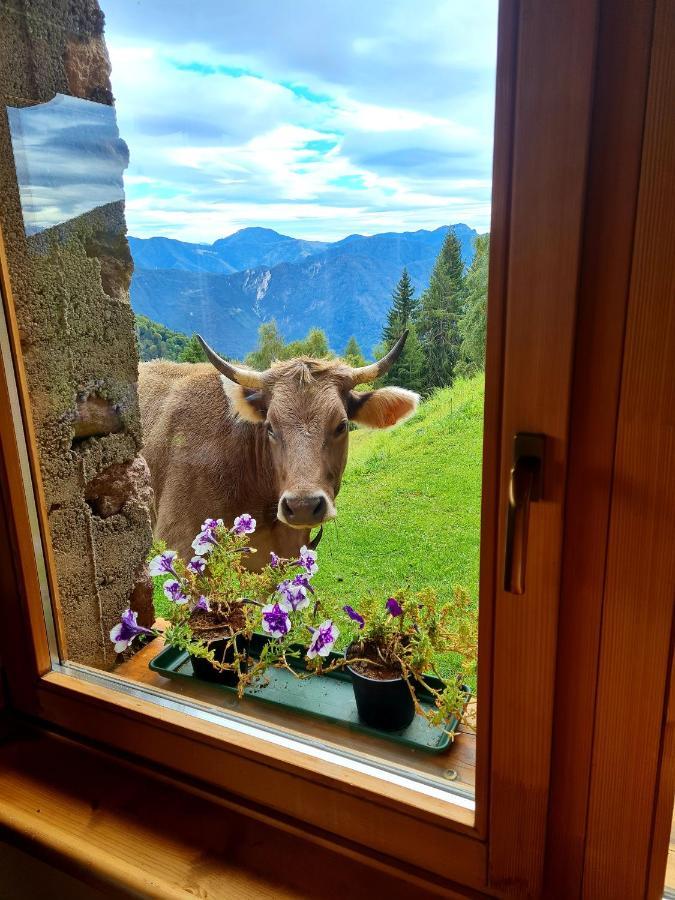 Chalet Chapeau Rar Castel Condino Εξωτερικό φωτογραφία
