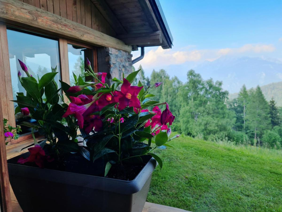 Chalet Chapeau Rar Castel Condino Εξωτερικό φωτογραφία